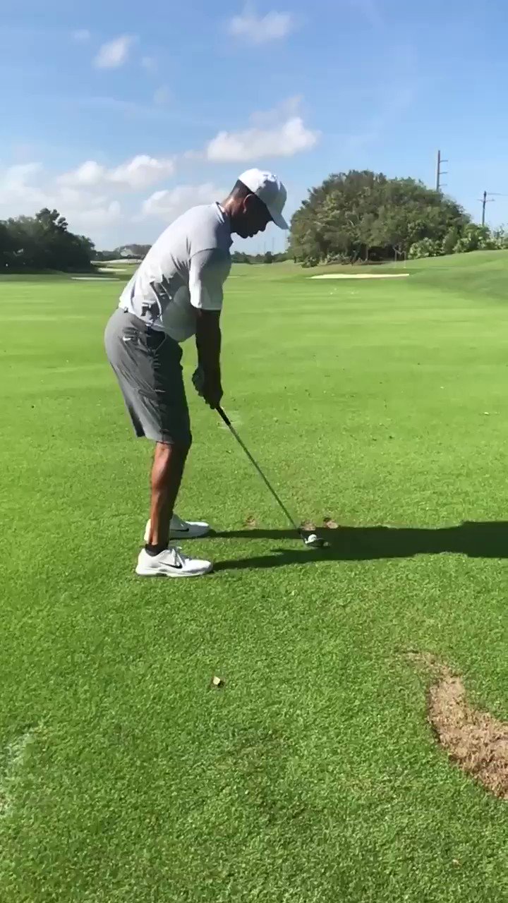 Tiger woods hotsell 7 iron