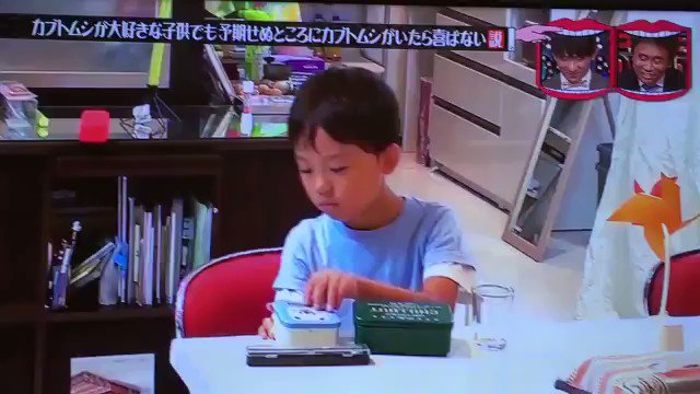 カブトムシがお弁当に入っていた時のリアクションwwwその表情はどこから⁉