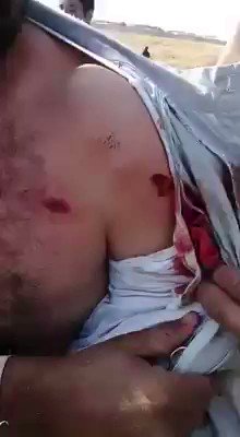 Загружается видео Твиттера
