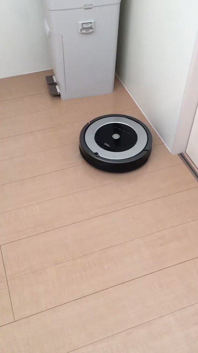 ルンバがとにかく可愛い なぜか考察 猫や犬とのかわいい様子も集めてみた