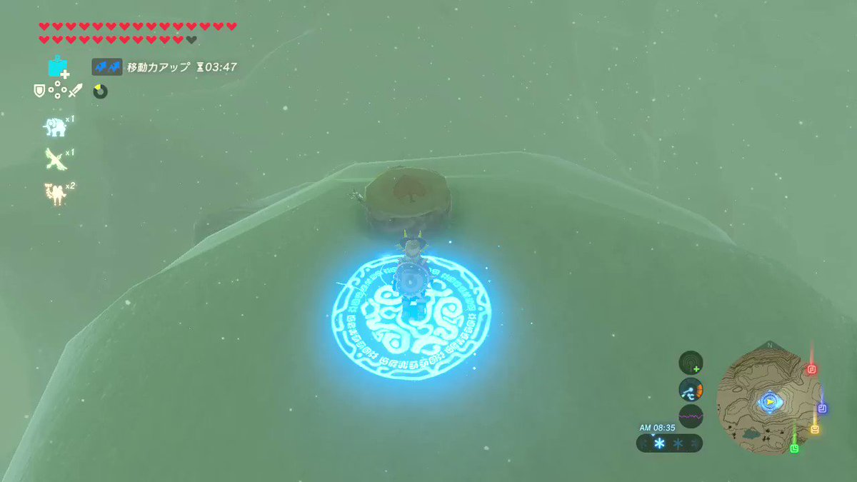 Botw 盾サーフィンで遊ぶ英傑 南国の野良猫