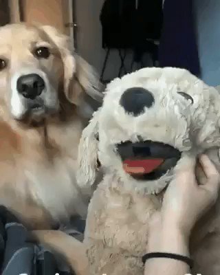 Raresfenty Twitter GIF - Raresfenty Twitter Funny - Discover & Share GIFs
