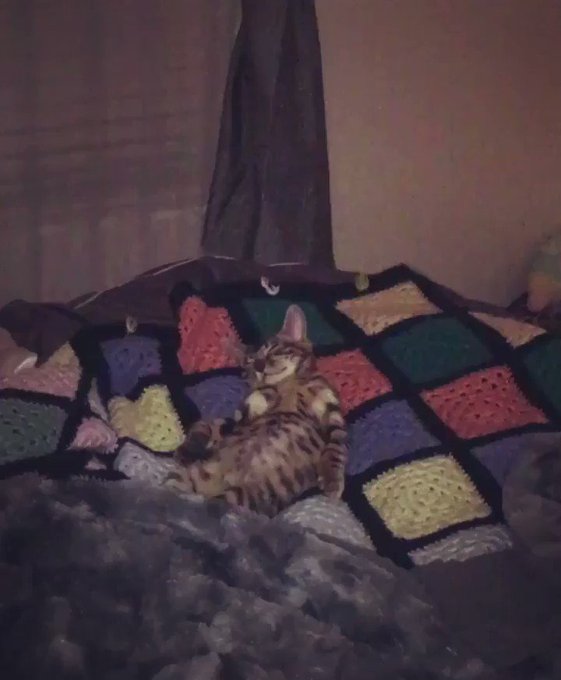 Arthur is pooped https://t.co/CWOtFMTnT2