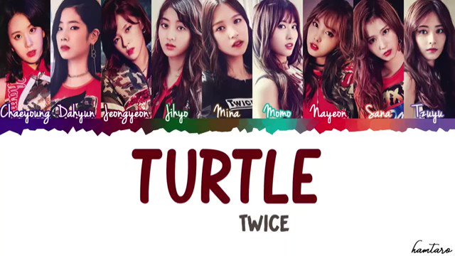 Twice モモ Turtleめっちゃ好き 共感onceはrtお願いします Twice Turtle Turtle好きなoncert T Co 7abqrhx2jn Twitter