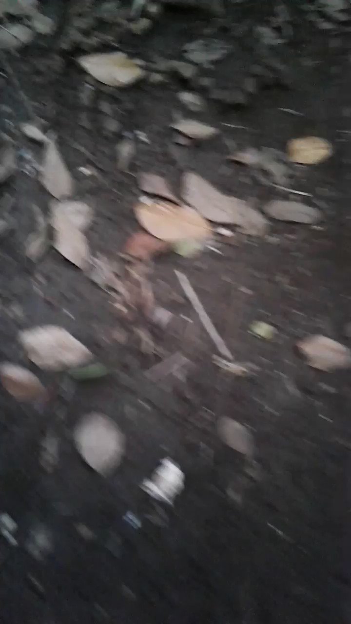 Ngintip mandi twitter