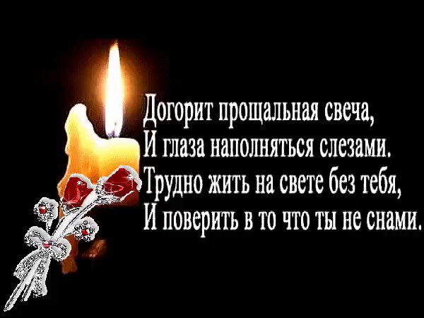 Тюльпаны, картинки для умершего брата
