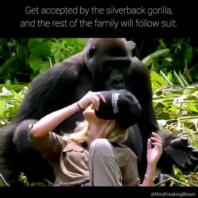 BoxHead (@realBoxHead) / Posts / X