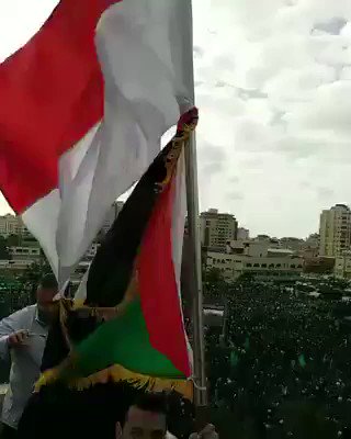 Abdul Kadir Jailani A Twitteren Bendera Indonesia Dikibarkan Dlm Aksi Rakyat Palestina Di Gaza