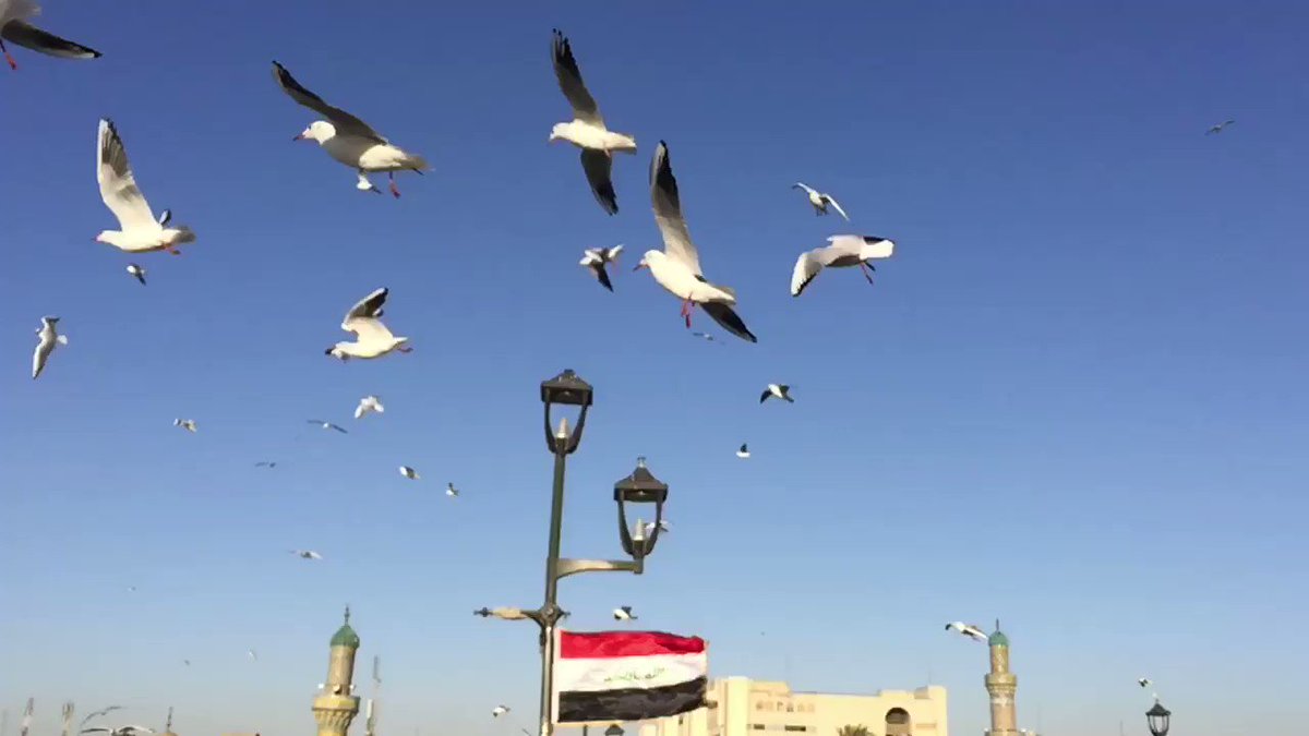 محمد On Twitter بغداد والشعراء والصور