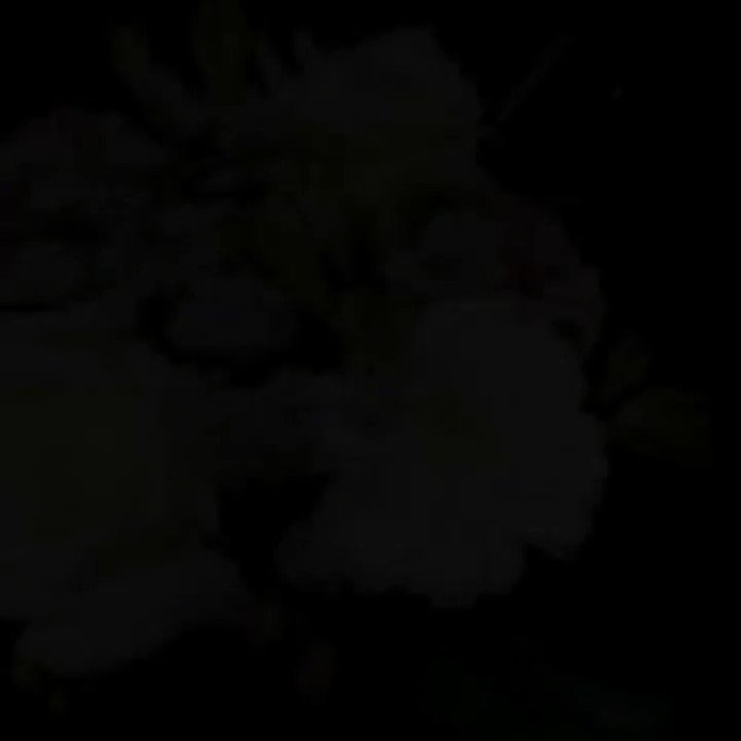 立川ルミネ1階お花屋さんのtwitterイラスト検索結果 立川ルミネ1階お花屋さんのtwitterイラスト検索結果