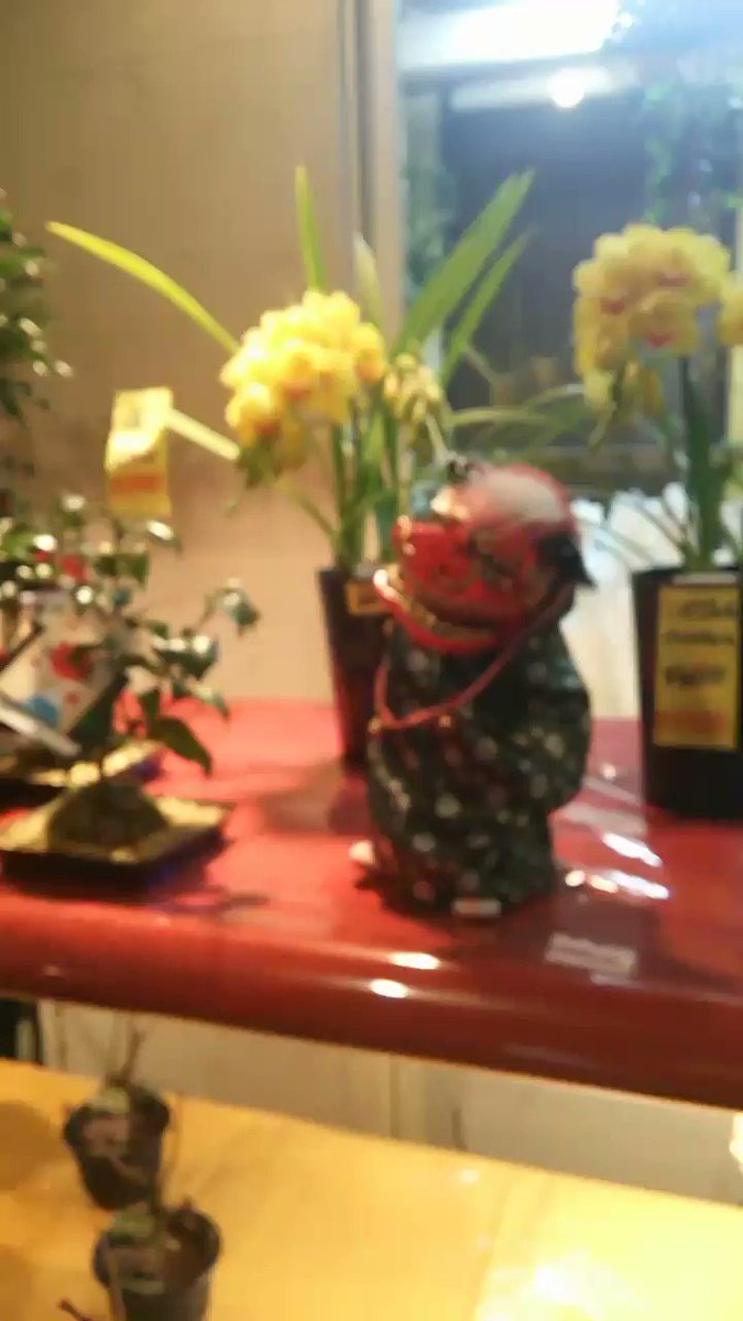 代々木上原 青山の花市場 Air Twitter