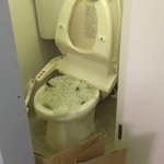 マンションのトイレにペット用トイレの砂を捨てると？1階の部屋のトイレが大変なことに!