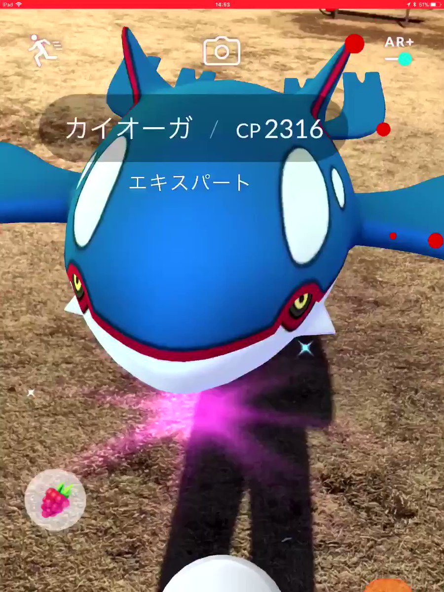 ポケモンgo アップデートでカイオーガの距離が近くなり捕獲が容易に 投げ方のコツや捕獲率まとめ