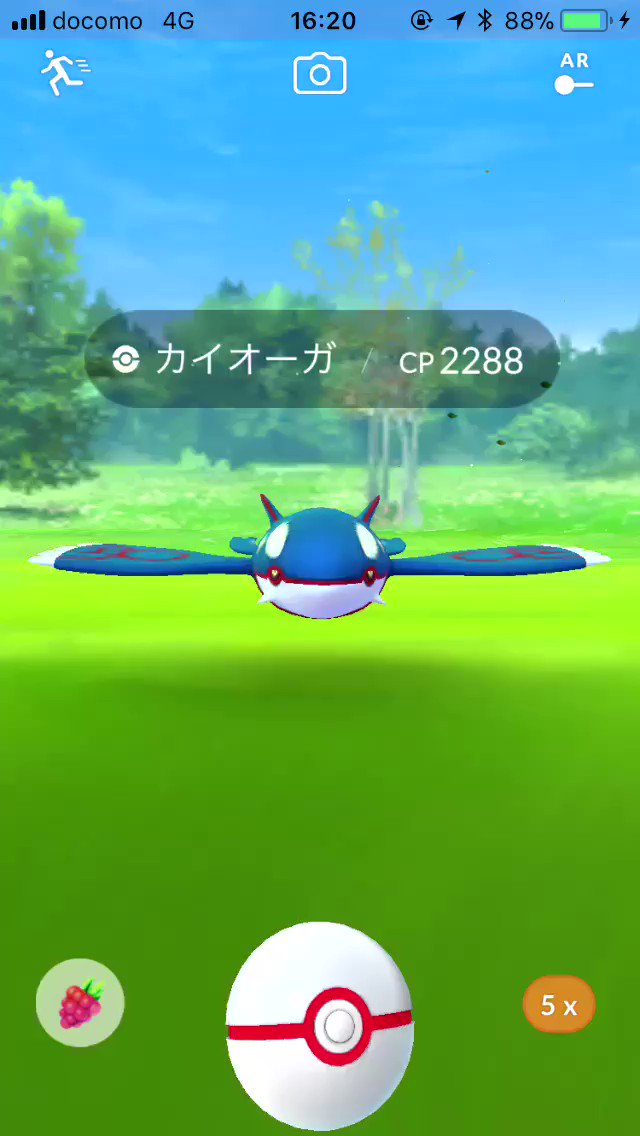 たなか Spec4444 カイオーガの捕獲の動画です 捕獲率はe C 金 15 73 G C 金 12 75 なので無理せずgreatを狙った方が無難だと思います サークルを固定します カイオーガは威嚇が短いので終わる前にボールを放します 端から普段より たなか Spec4444 カイオーガの捕獲の動画です 捕獲率はe C 金 15 73 G C 金 12 75 なので無理せずgreatを狙った方が無難だと思います サークルを固定します カイオーガは威嚇が短いので終わる前にボールを放します 端から普段より