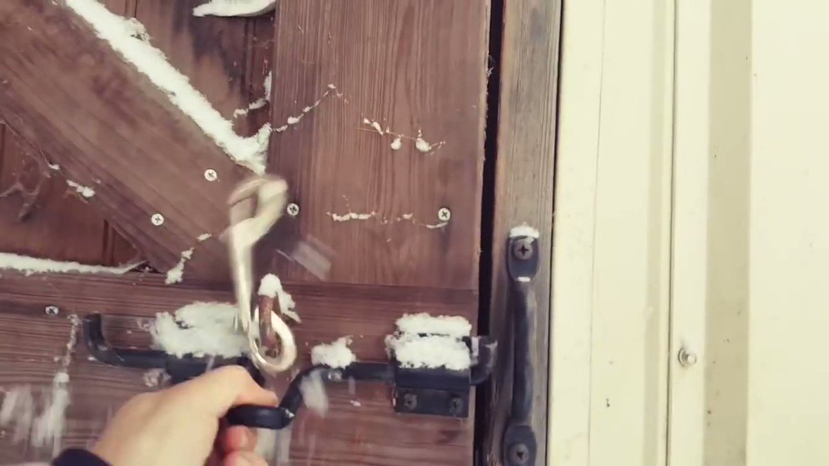 お馬さんだって 冬は寒い あまりの寒さに馬房に飛んで帰る馬がかわいい 話題の画像プラス お馬さんだって 冬は寒い あまりの寒さに馬房に飛んで帰る馬がかわいい 話題の画像プラス