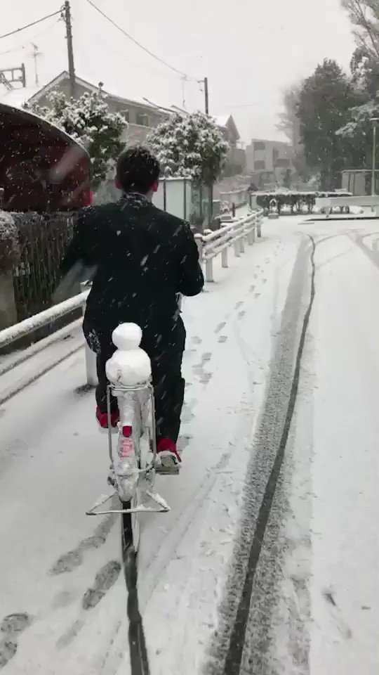 自転車に乗せる彼女がいないから・・・せめて雪だるまを乗せて走る僕・・・！