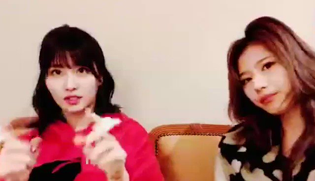 트위터, twitter - 딸플릭스