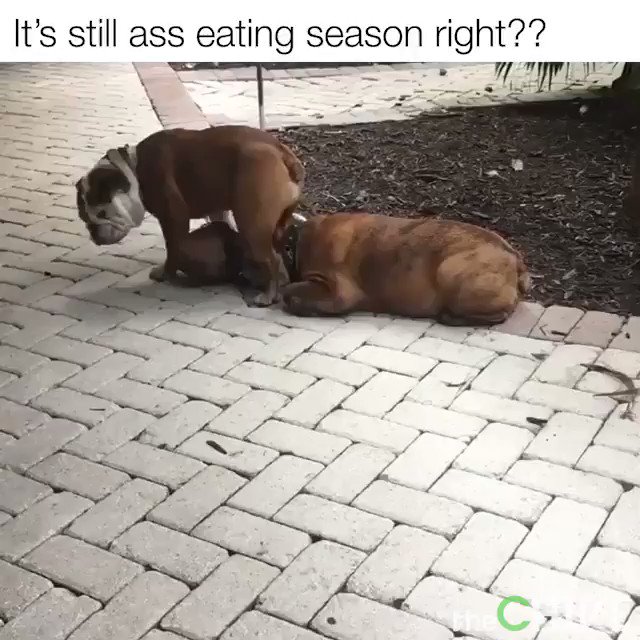 Make Sure You Eat Ass