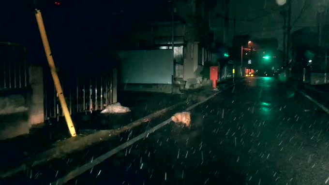 雪のふる夜に遊ぶ子犬たち…とおもいきやタヌキの大げんか！のサムネイル画像