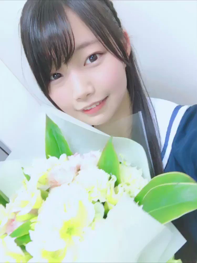 花言葉はイノセンス Hanakoto Info Twitter 花言葉はイノセンス Hanakoto Info Twitter