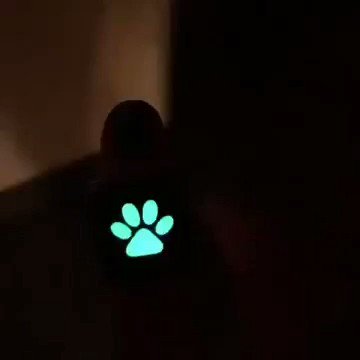 ArgMiraculous s video Tweet