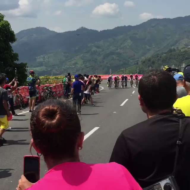 http://nuestrociclismo.com/34767/noticias/ruta/video-directo-colombia-oro-paz-et-5-salento-encanto-los-escaladores …#ColombiaOroyPaz🇨🇴#CiclismoClasificación PUNTOS-@ColdeportesCAMPEÓN Así celebró @FndoGaviria🇨🇴@QuickStepTeam 57pt@MolanoSebax94🇨🇴34@MaluMatteo1🇮🇹30@UranRigoberto🇨🇴23@NairoQuinCo🇨🇴 22@SergioHenaoOfic🇨🇴 20Vigano🇮🇹18@EganBernal🇨🇴16