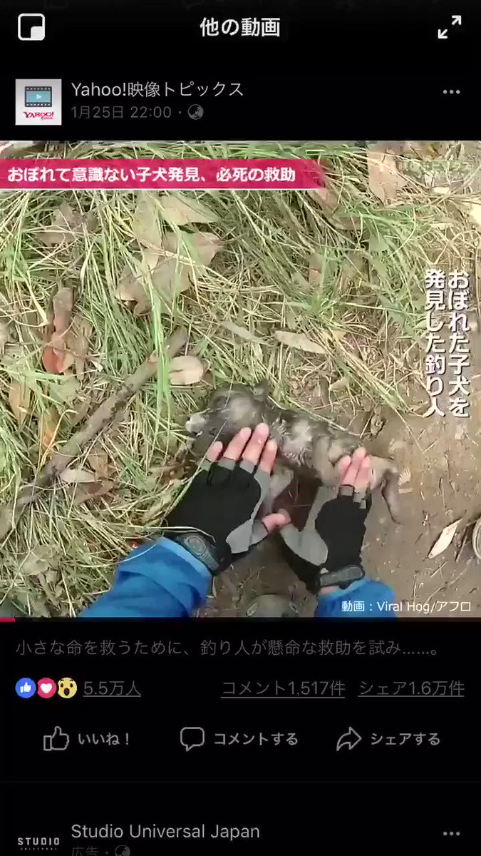 思わず感動してしまう おぼれて意識のない子犬を助ける釣り人さん 話題の画像プラス