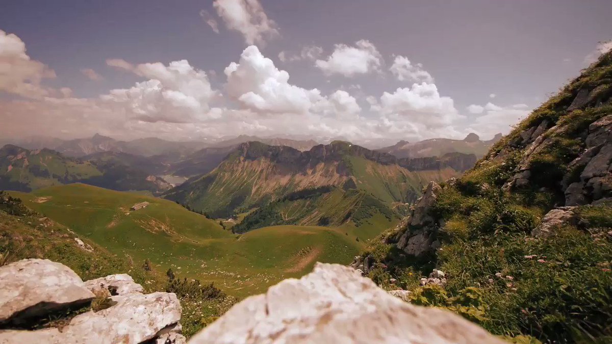 Vance Garrick (vancer_12) Twitter