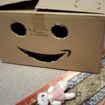 Amazonの箱に食べられてる？!ほほえむ口から出てきた猫の手にさらわれる熊の人形ｗ
