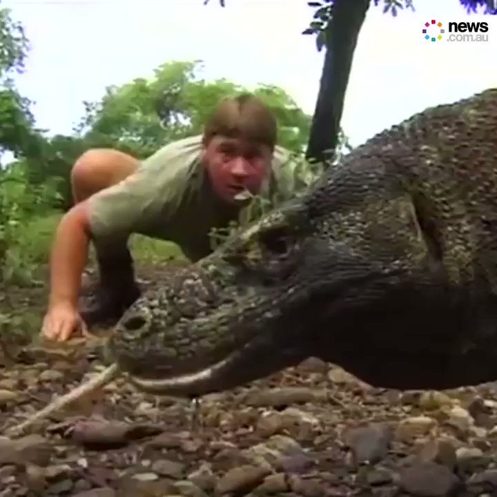 Happy birthday to a true Aussie legend. Steve Irwin, we miss you mate!   