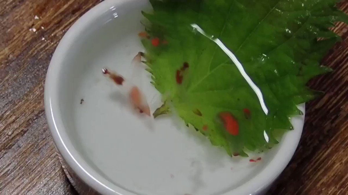 ヒトデとアオスジガンガゼを食べて気付かされたり ざざむし