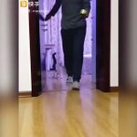見えない壁がある？飼い主の真似して飛び越える猫が可愛すぎ!