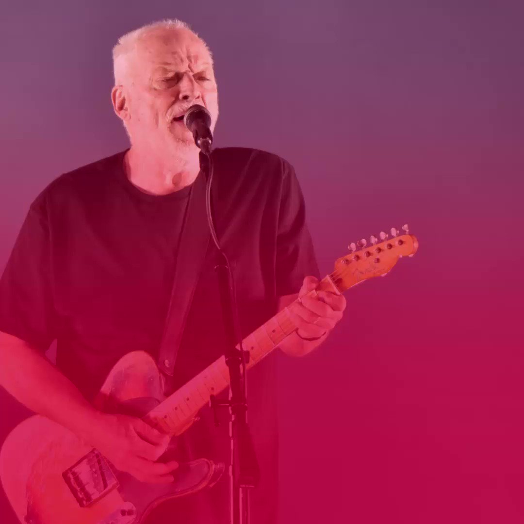 Happy birthday, David Gilmour!
Here\s 5 things you might not know about him! 