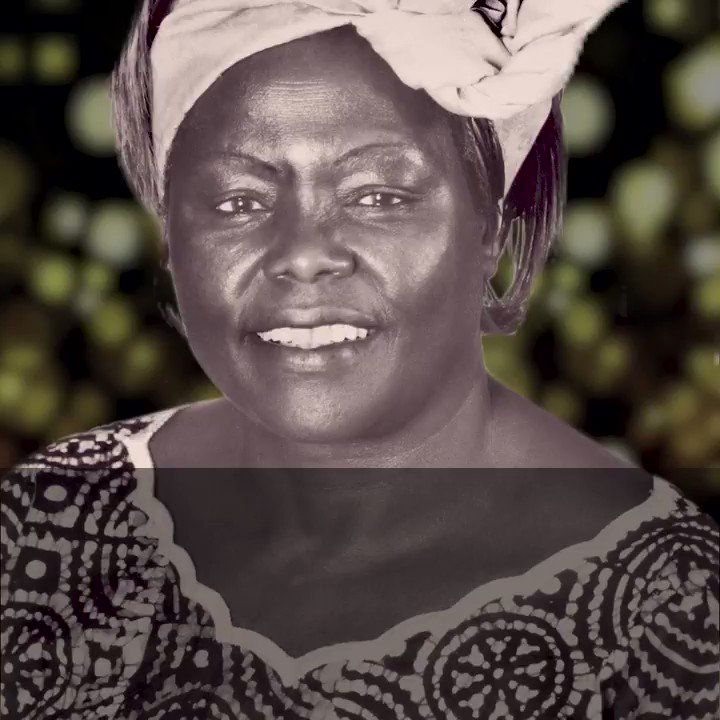 The Nobel Prize (@NobelPrize) on Twitter photo 2018-03-08 11:10:28 Wangari Maathai was not just an environmental activist and political campaigner who fought for democracy while leading the planting of over 50 million trees - she was also the first woman in East and Central Africa to earn a doctorate degree. #NobelPeacePrize #IWD2018 Wangari Maathai was not just an environmental activist and political campaigner who fought for democracy while leading the planting of over 50 million trees - she was also the first woman in East and Central Africa to earn a doctorate degree. #NobelPeacePrize #IWD2018