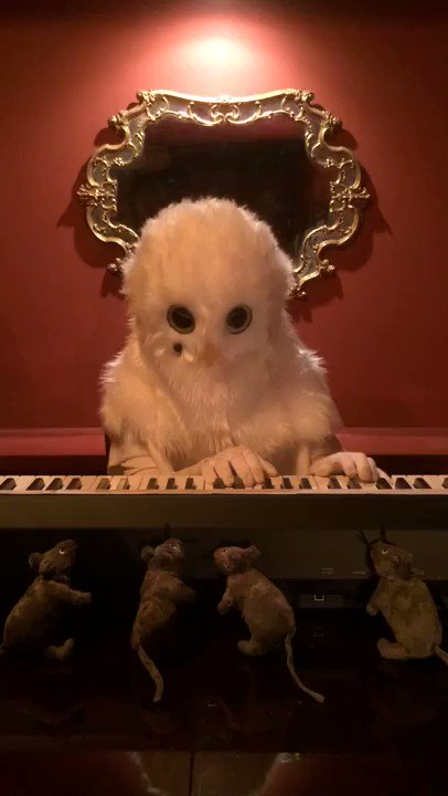 ほくろう HOKUROU (@dot_owl) / Posts / X