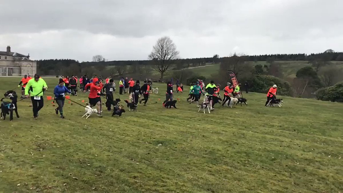 The Fancy Fox (@TheFancyFoxNI) on Twitter photo 11/04/2018 21:30:26 The @waggyraces 5k is underway at Baronscourt Estate! 🐶 🦊 🏃 The @waggyraces 5k is underway at Baronscourt Estate! 🐶 🦊 🏃