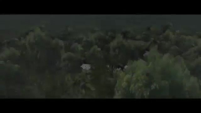 Animal agriculture is the primary driver of deforestation past and present. Forests not only contain the majority of species, they are huge carbon sinks 🌳
🎥 @Cowspiracy
#EarthDay #EarthDay2021
https://t.co/GOOQ8zsEWa