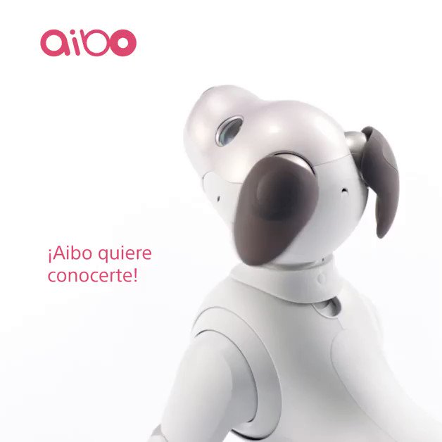 Conocé a Aibo y enamorate de su tierna mirada, capaz de decirte qué necesita. https://t.co/E7BDm5JNIN https://t.co/Dn1tZqeQ35