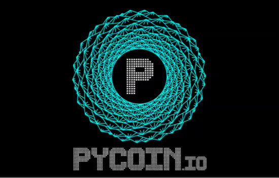 Image result for PYCOIN MEDIA BOUNTY