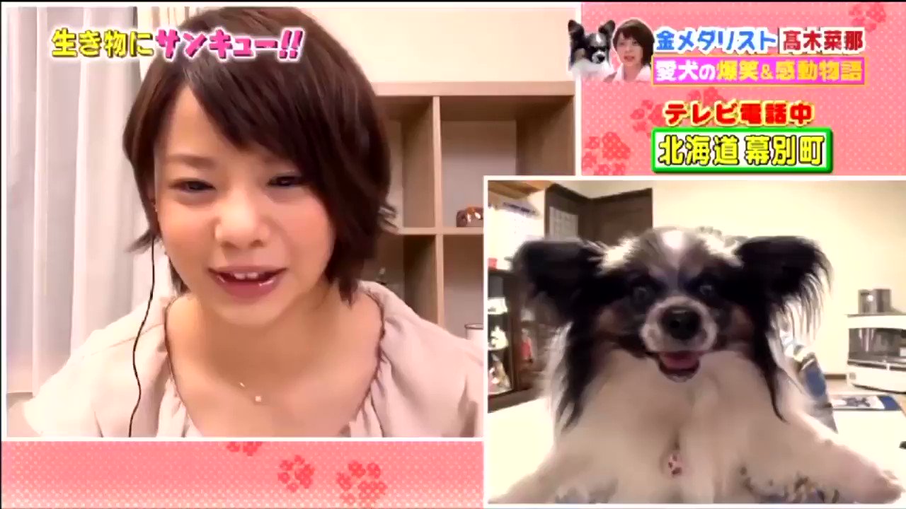 いか 個人的に最後の おっ ってとこが好き どアップケンちゃんも可愛いw 高木菜那 生き物にサンキュー T Co Odl1pctzre Twitter