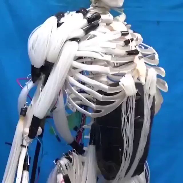 Robot Built with Human Skeleton