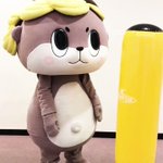 倒れない棒で遊ぶ可愛いしんじょう君♪そこに“荒ぶる格闘家”が躊躇なく乱入するw