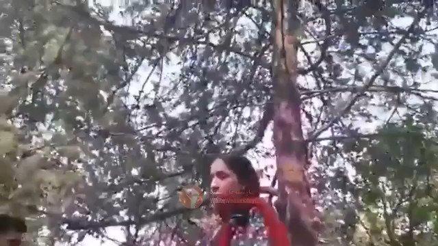 Tarek Fatah - A young Iranian woman is beaten up by the country's female Islamic morality police. Her crime? She did not cover her hair fully and let part of it show under the regimes's compulsory hijab law. Via @Dr_Rafizadeh ->  
