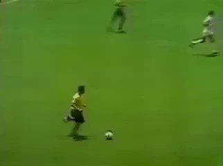 Video insertado