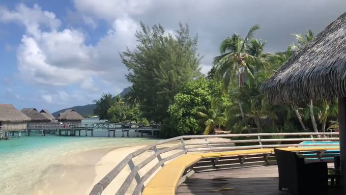 Island life 🌴🌴🌴 https://t.co/r4LvPGQErw<a href="/tag/newprofilepic"class="tags"><span>#newprofilepic</span></a>