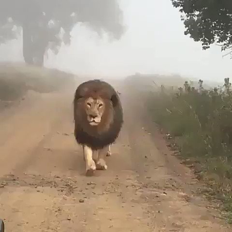 #Nature is Amazing..!!