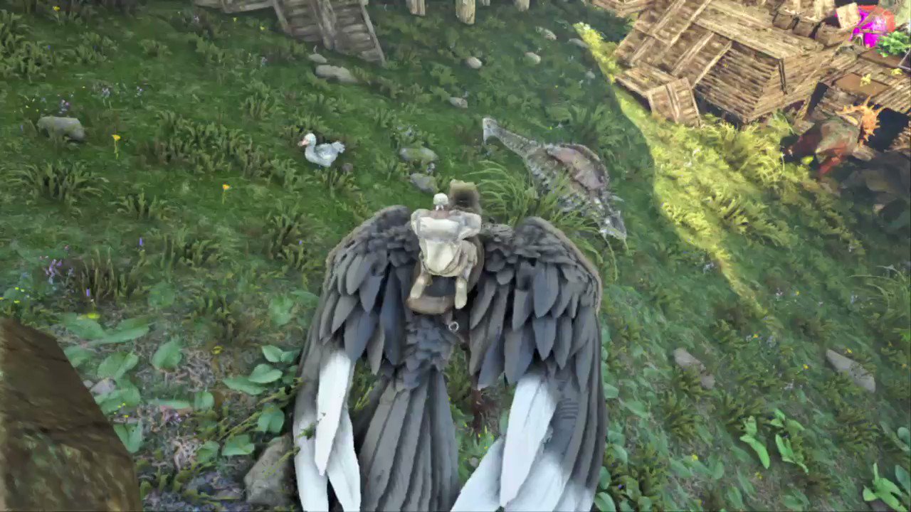 Ark生物紹介bot アルゲンで二匹の生物を掴む方法 嘴 脚の順でのみ掴めます Ark Ps4share T Co 681c5tlc T Co Phkqffe3tm Twitter Ark生物紹介bot アルゲンで二匹の生物を掴む方法 嘴 脚の順でのみ掴めます Ark Ps4share T Co 681c5tlc T Co Phkqffe3tm Twitter