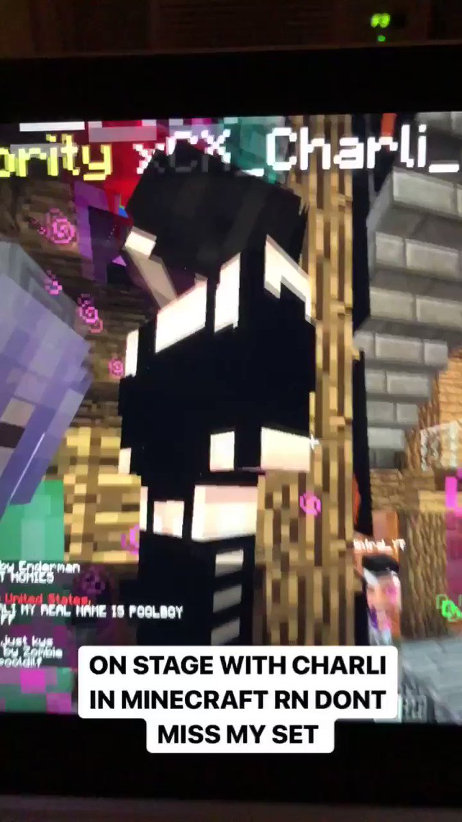 Minecraft Birthday Party 18