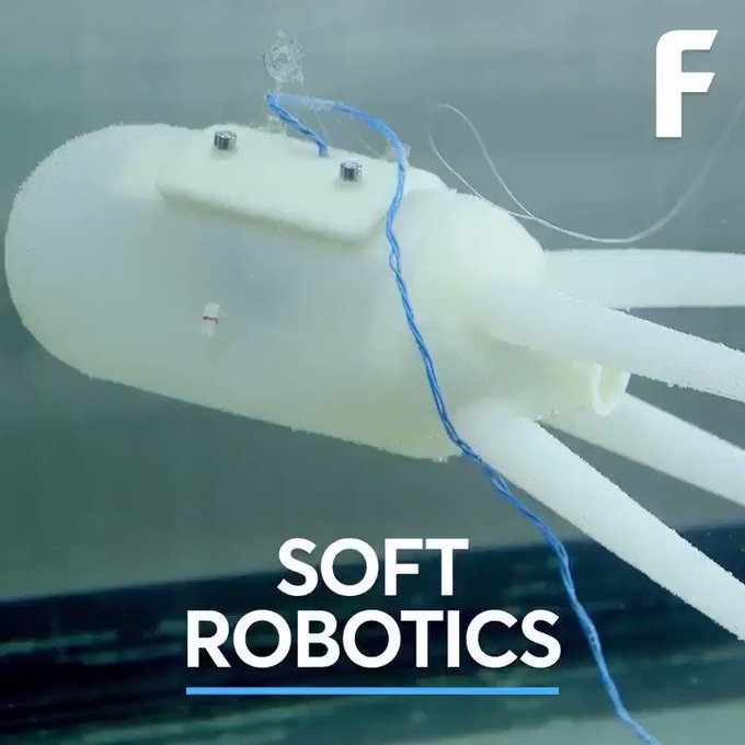 Features of Flexible Soft Robots That Imitate Water Creatures 