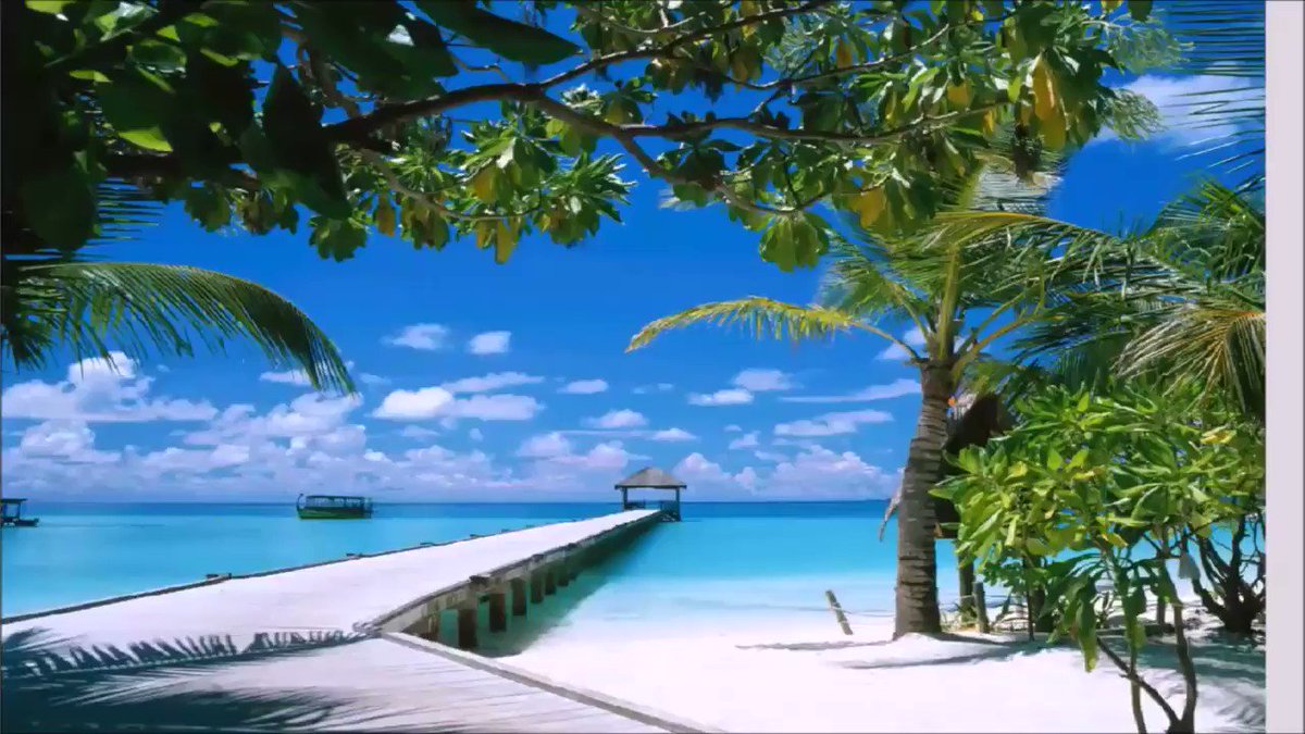 Destination Tourism Video & Photo Marketing https://www.promovisionpv.com/WP/destination-tourism-video-photo-marketing/ … #Videomarketing #HotelMarketing #tourismmarketing #PuertoVallarta #RivieraNayarit #PuntaMita #Sayulita #NuevoVallarta #SanPancho #Jalisco #Nayarit #Mexico
Hotel Promo